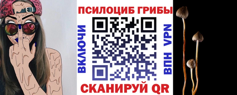 Галлюциногенные грибы Cubensis  наркотики  Плавск 